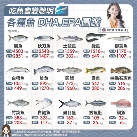 魚 排名|鮭魚竟只排第三名！一圖看12種常見魚類「DHA排行。